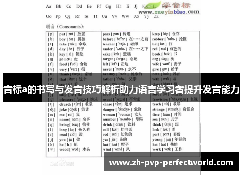 音标a的书写与发音技巧解析助力语言学习者提升发音能力